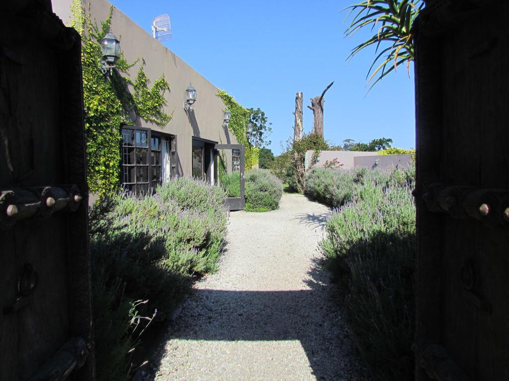 Plett River Lodge Plettenberg Bay Exterior photo